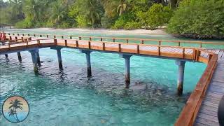 Kuramathi MALDIVES Resort 🌴🌴🌴 FULL Resort HD TOUR  FHD Vlog Maldives [upl. by Thrasher]