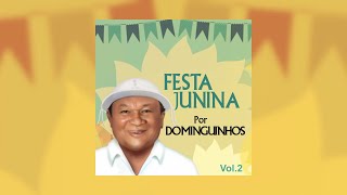 Dominguinhos  quotPedras Que Cantamquot Festa Junina Por Dominguinhos Vol2  2014 [upl. by Bessy]