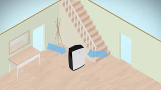 Dehumidifiers How do they work [upl. by Inglis]