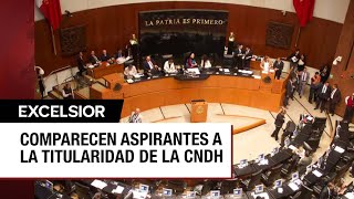 Concluyen en el Senado comparecencias de 47 aspirantes a presidir la CNDH [upl. by Ludba650]