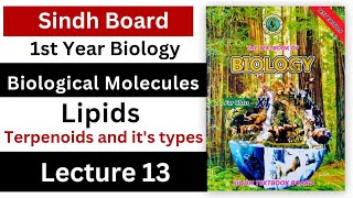 terpenoids  lipids  biological molecules class 11 biology Sindh board new book [upl. by Amadis669]