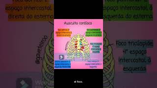 PUNTOS DE AUSCULTACIÓN CARDÍACA [upl. by Lillywhite306]
