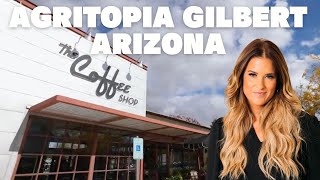 Under 500K in Agritopia Gilbert Arizona [upl. by Eedak]