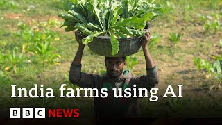 Artificial intelligence comes to farming in India  BBC News [upl. by Annaujat]