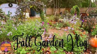 Lets catch up  Whats happening in the late October garden🍁🎃 Zone 6 Garden Vlog [upl. by Eedeed]