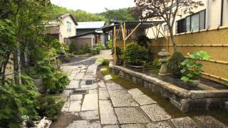 Kimono girl with up do at Japanese bonsai garden [upl. by Ewald]