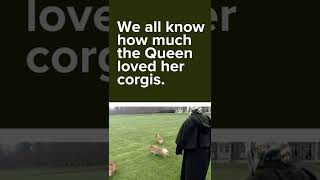 How Queen Elizabeth IIs love of corgis began [upl. by Chimene]