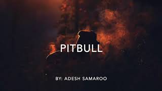 Pitbull by Adesh Samaroo [upl. by Ived]