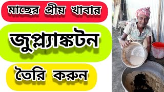 How to Grow Zooplankton in Fish Pond  Bangla [upl. by Cathrin]