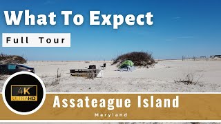 Assateague Island  Beach and Camping  Full Review  Berlin Maryland [upl. by Straus]