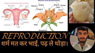 Reproduction in Plants JKSSB JKpolice SSC  CDS AFCAT [upl. by Mcgruter718]