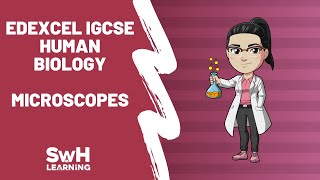 Using Microscopes  Edexcel IGCSE Human Biology [upl. by Ecilegna815]