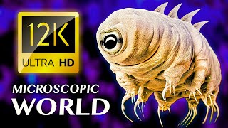 MICROSCOPIC WORLD 12K ULTRA HD [upl. by Aurelia333]