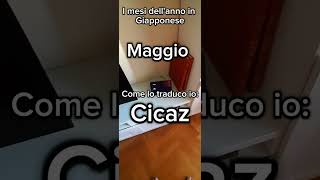 I mesi dellanno in giapponese viralshort viralvideo [upl. by Yentterb]