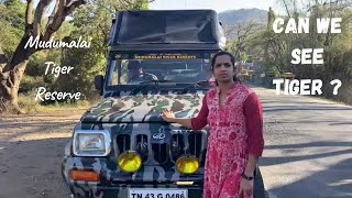 Mudumalai Tiger Reserve  Mudumalai Jeep Safari  Saranya Sudhagar  SS​ [upl. by Oruntha]