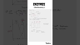 Enzymes Biochemistry  CSIR NET life science enzymes biochemistry csirnet [upl. by Scrivens]