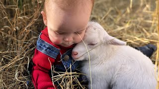 Little Friends Have Melting Moments With Animals [upl. by Anirrok]