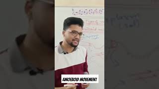 CONCEPT OF AMOEBOID MOVEMENTS LOCOMOTION AND MOVEMENTS BIO ROOTS biology neet plants science [upl. by Eimas366]