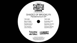 Shadez of Brooklyn  Everyday Livin Explicit [upl. by Coke209]