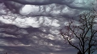 Undulatus asperatus Асператусы в небе [upl. by Ivers]