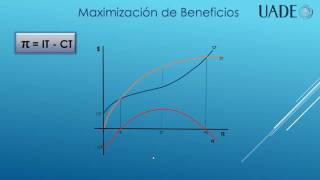 Maximización de Beneficios [upl. by Mallorie61]