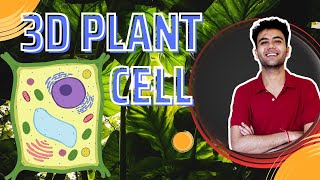 cell biology  plant cell structure 3D biology hindi neet2025 biology 3danimation neet bio [upl. by Russ139]