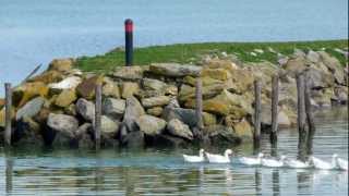 ISOLA MAGGIORE del LAGO TRASIMENO Umbria  Full HD [upl. by Ecyac]