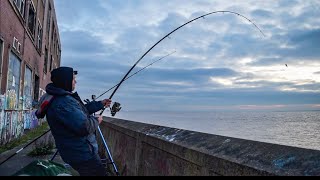 Fishing The Humber  Catch and Cook [upl. by Karole850]