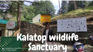 kalatop wildlife Sanctuary  Dalhousie Himachal Pradesh [upl. by Yumuk]