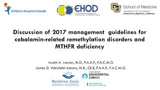 Guidelines for Diagnosis and Management of the CobalaminRelated Disorders amp Severe MTHFR [upl. by Oner]