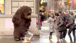 Bear in NYC Prank [upl. by Karola]