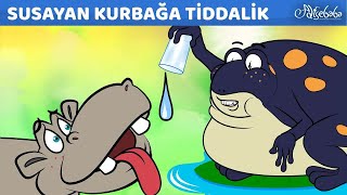 Susayan Kurbağa Tiddalik  Kayıp Ejderha  Kibirli Gül  Adisebaba Masallar [upl. by Nairad]