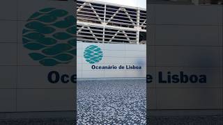 Esse é o Oceanário de Lisboa que já foi considerado o melhor oceanário do mundo dicaslisboa [upl. by Kiersten]