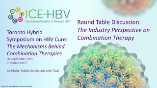 Industry Discussion on Combination Therapy for Hepatitis B Cure at ICE HBV Toronto Symposium [upl. by Dickman418]