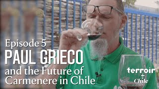 TerroirChile  Montes Ep05  Wines of Chile [upl. by Coonan]