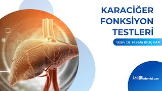 Karaciğer Fonksiyon Testlerine Yaklaşım TÜM KLİNİK KORELASYONLARLA [upl. by Eisle]