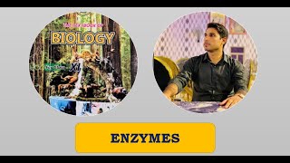 Class 11th  Enzymes  Lecture 4  Types of Enzymes [upl. by Reyotal]