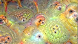 Google Deepdream AI [upl. by Rehpetsirhc886]