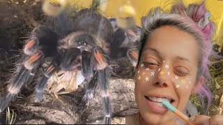 TARANTULAS eating JUICY bugs Tarantula Mukbang [upl. by Nnayt]