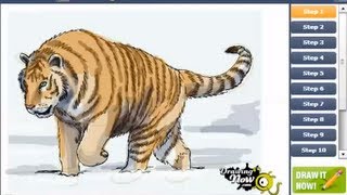 How to Draw a Siberian Tiger [upl. by Moyra]