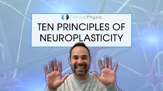 The Ten Principles Of Neuroplasticity Rehab  What you need to think about [upl. by Fagan]