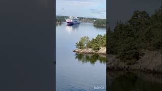 Viking Line  Cinderella meets Grace 🚢 🌊 cruise sailing ships interesting shortsviral [upl. by Secunda]