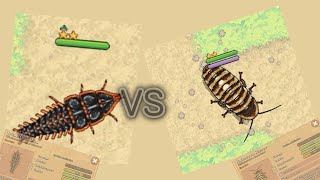 Trilobite beetle VS Halloween Hisser pocket ants 2024 halloween event [upl. by Fulviah]