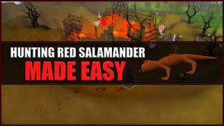 Quick Guide to Hunting Red Salamander in OSRS  Hunter Guide  Hunters Rumours [upl. by Calbert]