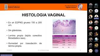 37 VULVOVAGINITIS  EPI  Dr Molocho [upl. by Craggy]