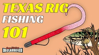 The 1 LURE To Catch Bass  Texas Rig Fishing 101 [upl. by Boor]