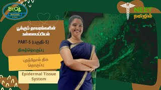 Anatomy of Flowering Plants  Part 5  The Tissue System  Epidermal Tissue System  NEET Tamil [upl. by Grubman]