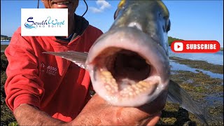 Sea Fishing UK  Gilthead Bream fishing how to  with special guest Martin “Larks” Larking [upl. by Llerreg]