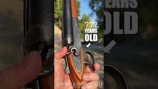 OLD DOUBLE BARREL SHOTGUN shorts gun shotgun review weapon usa 12gauge hunting cartridges [upl. by Neerhtak478]