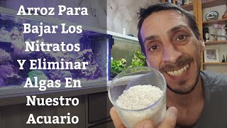 🔵 Usar Arroz En El Acuario Para Bajar Los Nitratos Y Eliminar Algas De Nuestra Pecera Acuarios MB [upl. by Aihsatal]